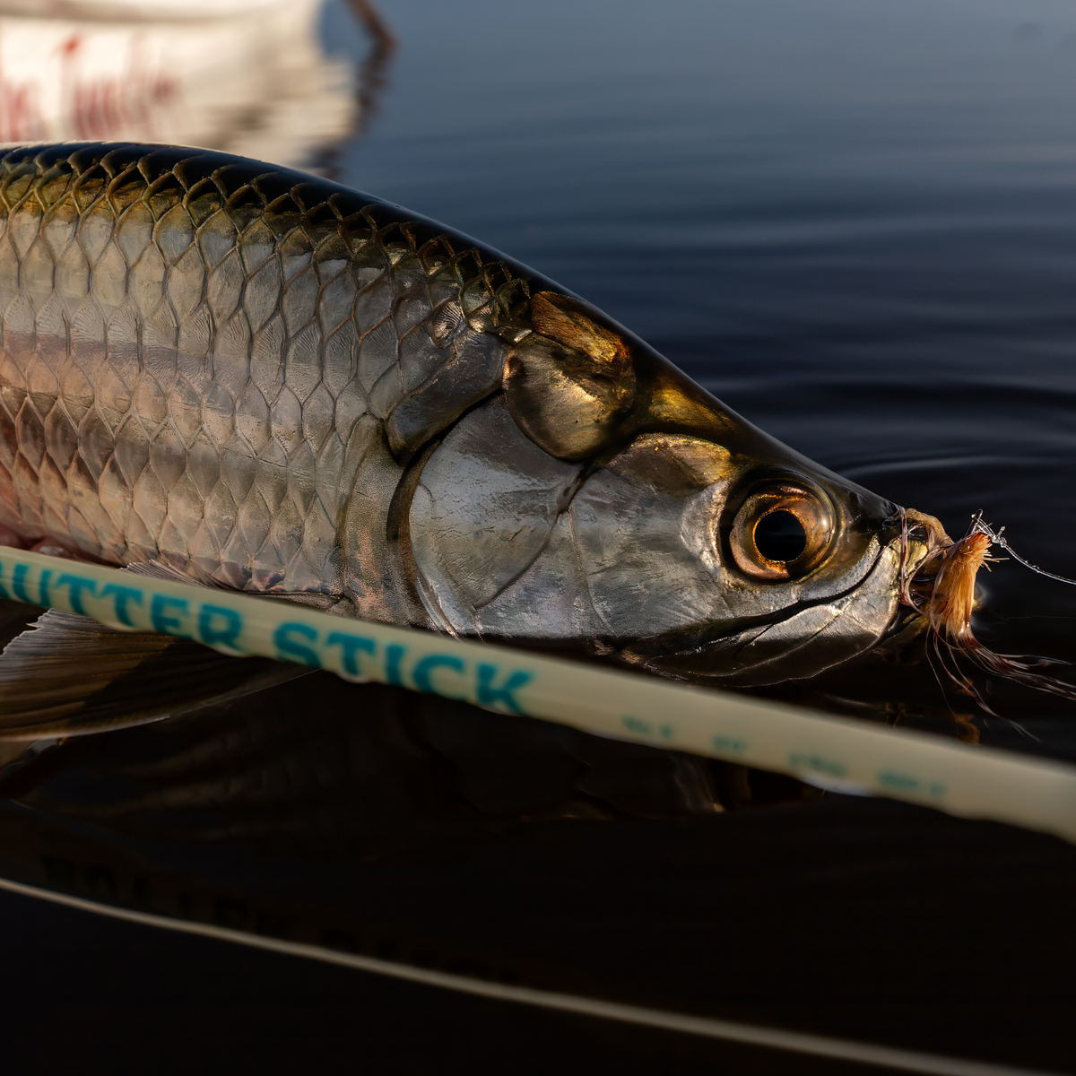 Redington Butter Stick Salt LE Fly rod