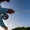 Redington Butter Stick Salt LE Fly rod