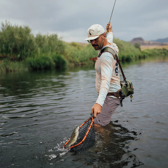 Rising Brookie Net 10"