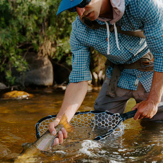 Rising Brookie Net 10"