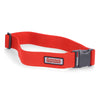 SIMMS WADING BELT - 2"