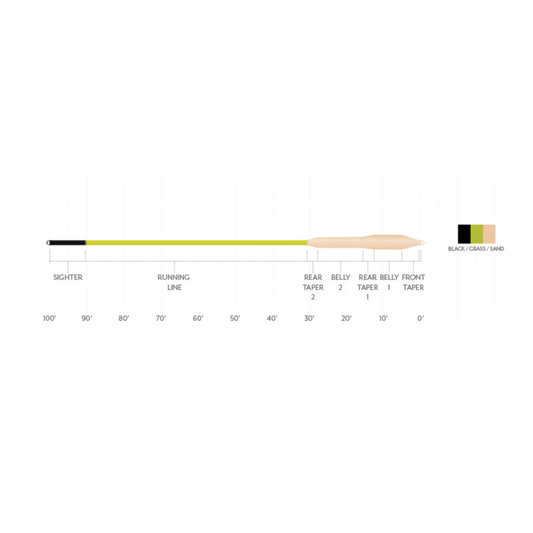 Scientific Anglers Amplitude Smooth Striper Fly Line