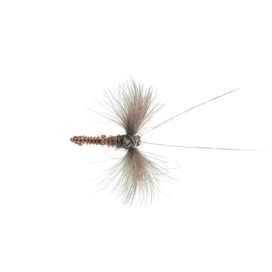 Shaner's Dead-Bug Caddis