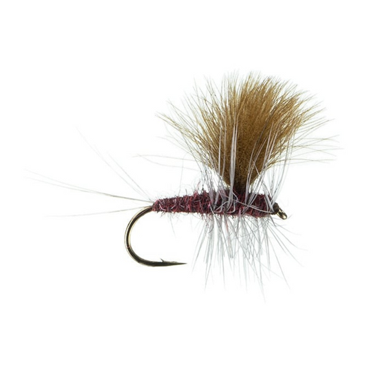 Shaner's ISO Dun #12