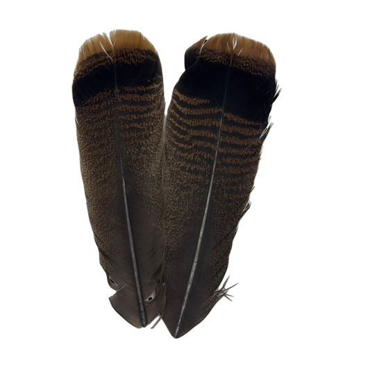 Shor -Select Ozark Turkey Cinnamon Tail