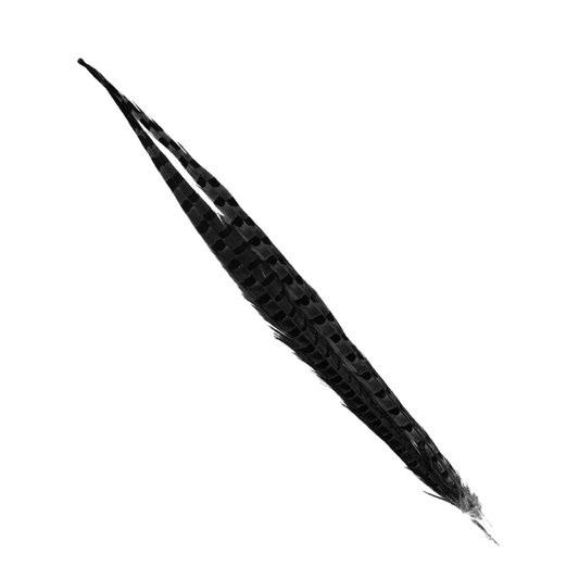 Shor Ringneck Pheasant Tail - 1 Feather