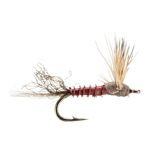 Sparkle Dun Mahogany