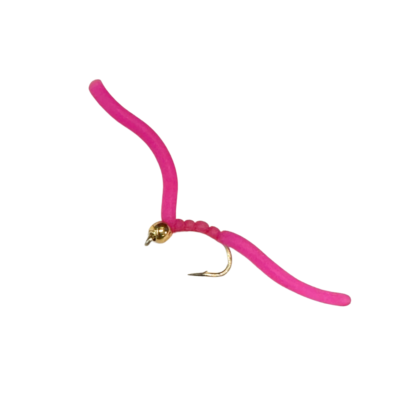 Squirmy Worm