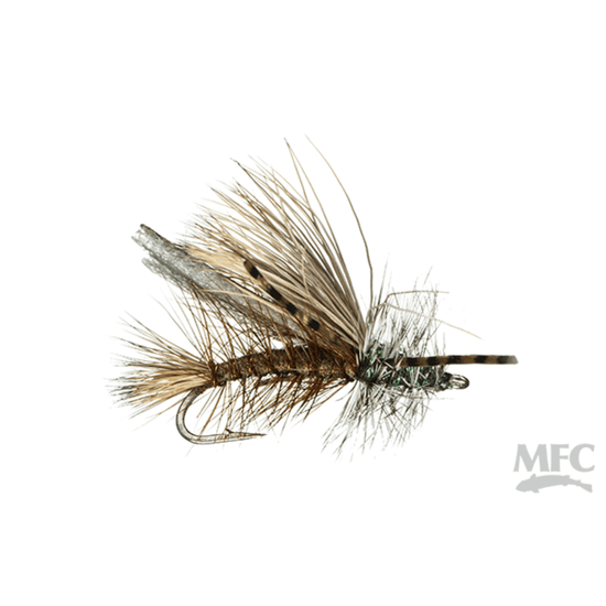 Stimi Chew Toy olive