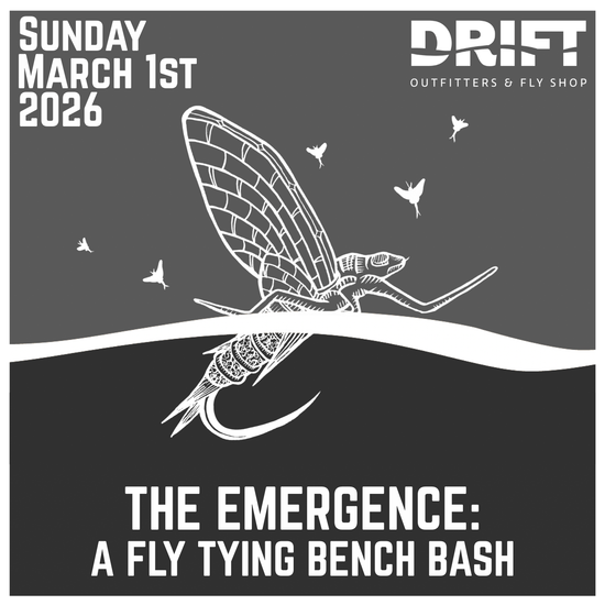 The Emergence Sun Mar 1, 2026