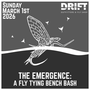 The Emergence Sun Mar 1, 2026