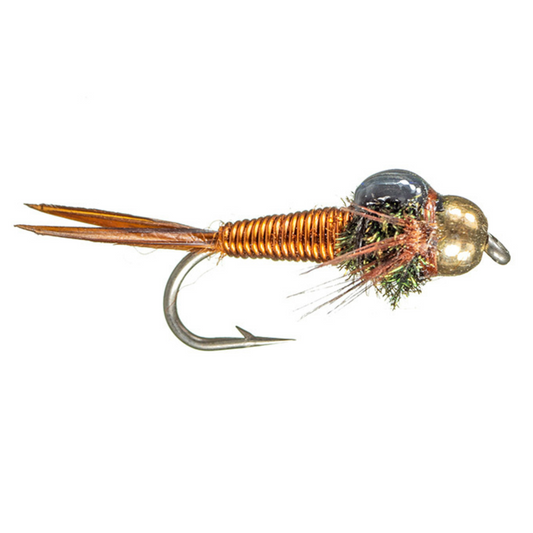 BH Epoxyback Copper Nymph