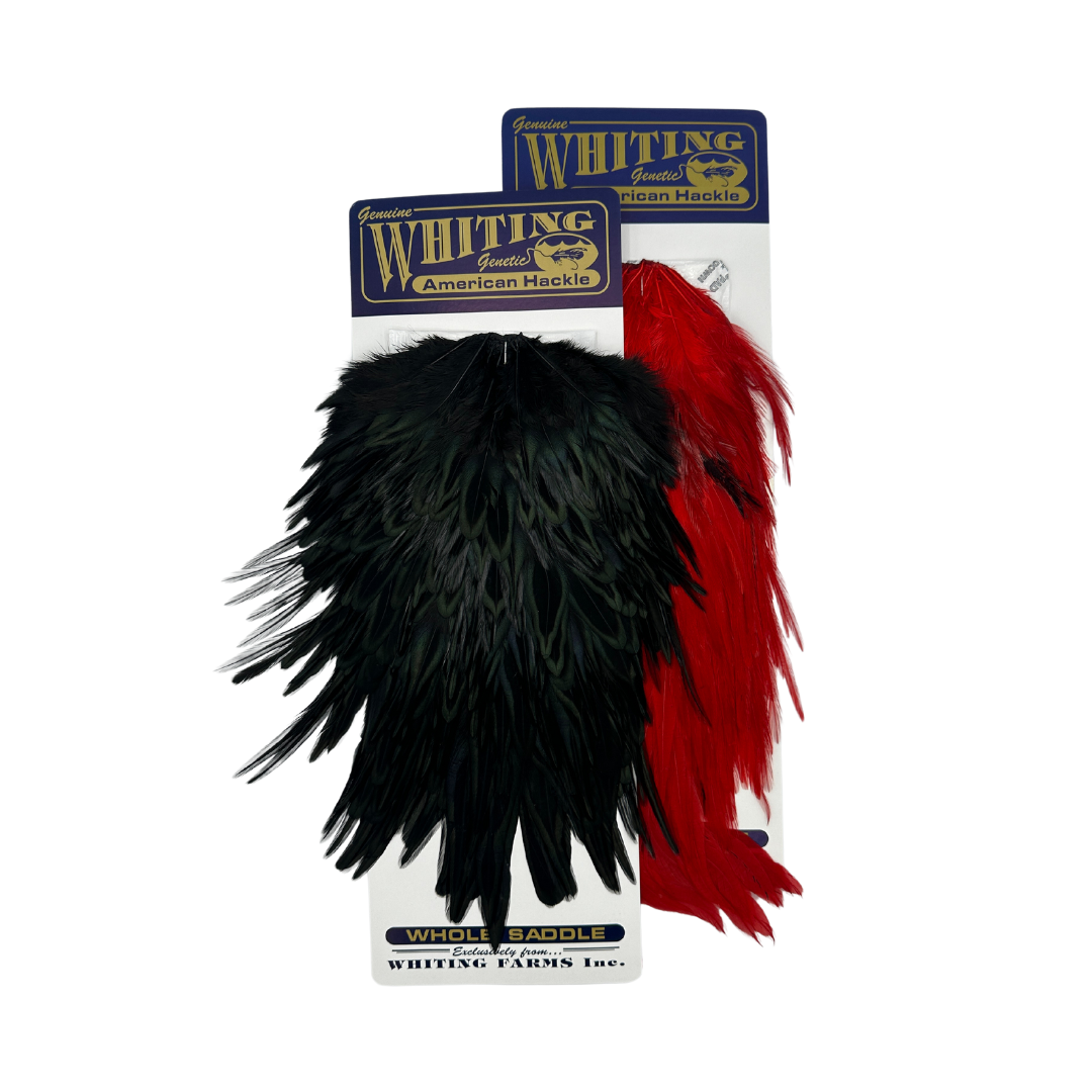 Whiting American Saddle Hackle