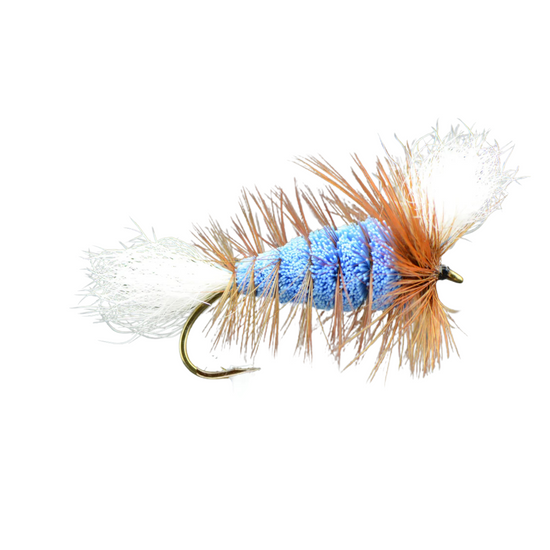 Wulff Bomber - Electric Blue/Brown Hackle