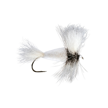 Wulff Bomber White/Badger Hackle Salmon Fly