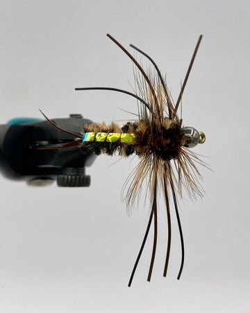 Speculator Stonefly