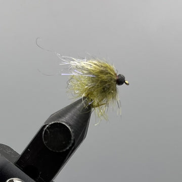 Galloup's BH UV Caddis Pupa - Olive #14