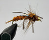 Speculator Stonefly