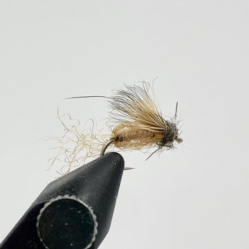 Sparkle Caddis Pupa Tan