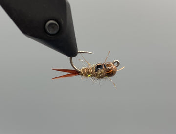 RIO's Tungsten Bead Bug Nugget - Brown