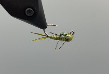 RIO's Tungsten Bead Bug Nugget - Olive