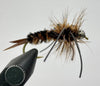 Speculator Stonefly