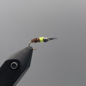 Furminsky's Feeding Caddis