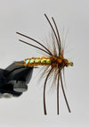 Speculator Stonefly