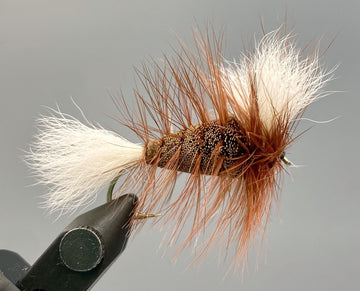 Wulff Bomber - Chocolate Brown/Brown Hackle