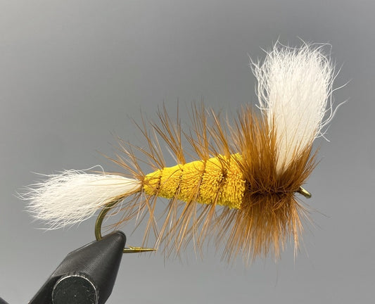 Wulff Bomber - Yellow Body - Brown Hackle - White WIngs