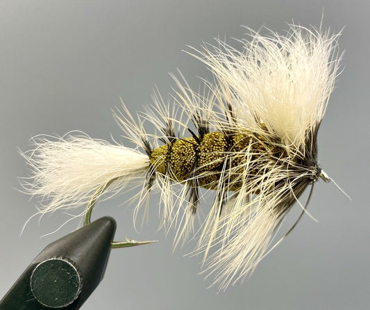 Wulff Bomber -  Green Olive/Golden Badger Hackle #4