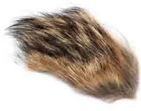 Shor - Coyote Fur.