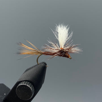 Carlson's Copper Haze