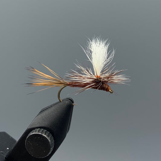 Carlson's Copper Haze