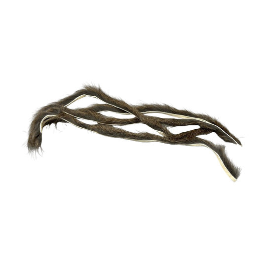 OFISHL - Gray Squirrel Zonkers.