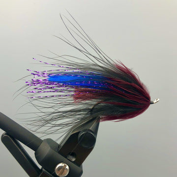 Zech's Zeech Leech Black #4