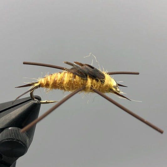 Bead Head Rubber Legs Stonefly