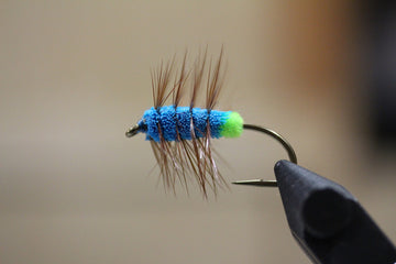 Blue Bug Green Butt - Canadian Tied