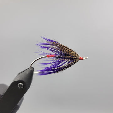 Purple Haze Spey