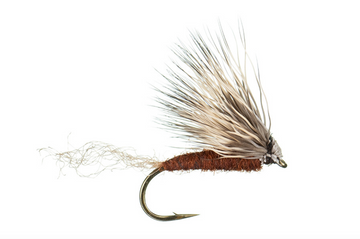 X-Caddis Brown