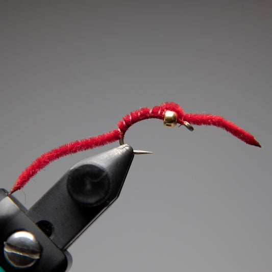 BH San Juan Worm - Dark Red