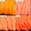 Glo Bug Yarn