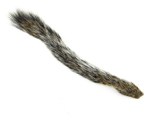 Shor Squirrel Tail.