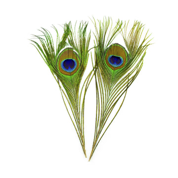 Shor - Peacock Eyes 12" (Pair)