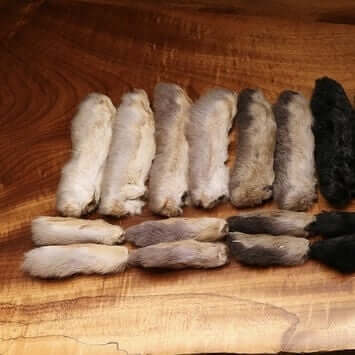 Snowshoe Rabbits Feet.