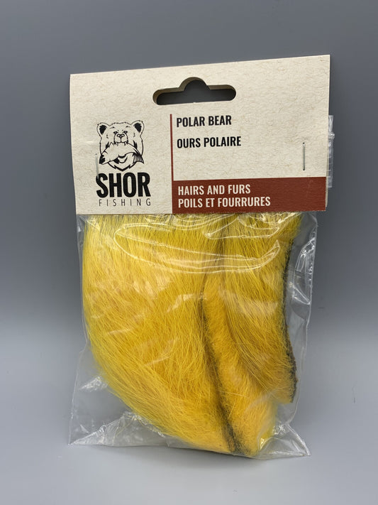 Shor - Polar Bear
